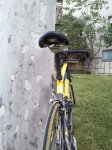 IMG_20120904_202258.jpg