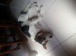 20120907_132935.jpg