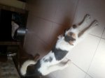 20120907_133021.jpg
