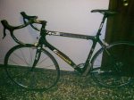 goka greenwich ultegra 1.jpg