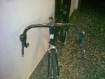goka greenwich ultegra 2.jpg