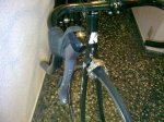goka greenwich ultegra 3.jpg