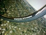 goka greenwich ultegra 7.jpg