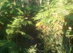 2012-09-07 18.52.40-crop.jpg