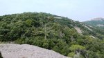 P1010477.JPG