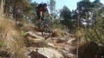 DSC06930 - copia.JPG