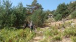 DSC06933 - copia.JPG