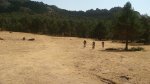 DSC06935 - copia.JPG