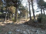 SAM_1058a.JPG