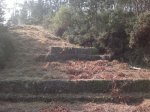 2012-09-09-257.jpg