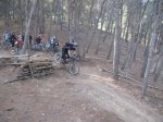 IMG_8860.jpg