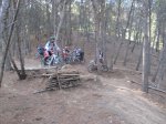 IMG_8865.jpg