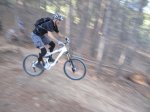 IMG_8870.jpg