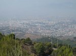 IMG_8880.jpg