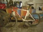 bici.jpg