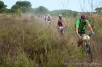 cebrianenca 2012 1-5.jpg