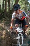 cebrianenca 2012 1-7.jpg