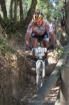 cebrianenca 2012 1-13.jpg