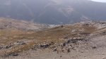 DSC_0113.jpg