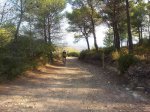 20120908_095250.jpg