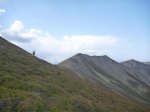 P1110231_800x600.jpg