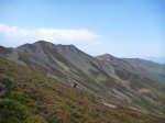 P1110227_800x600.jpg