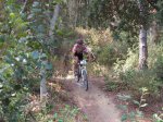 cebrianenca 2012 1-18.jpg