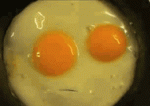 13801ce5002b9a4386a72f0.gif