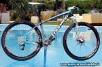 torpado_nearco_10.jpg