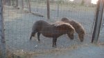 DSC06968 - copia.JPG