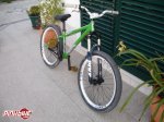pbpic1237172.jpg