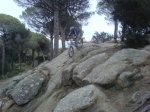 bici010b.JPG