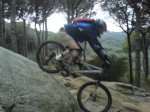 bici028b.JPG
