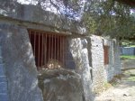 Imagen Zahinos 24.03.07 087.jpg