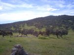 Imagen Zahinos 24.03.07 101.jpg