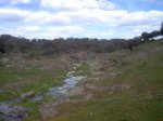 Imagen Zahinos 24.03.07 114.jpg