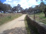Imagen Zahinos 24.03.07 118.jpg