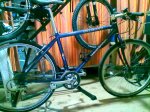 25052010064.jpg