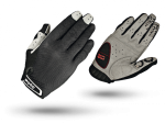 01063_Shark_Back_Palm-572x429.png