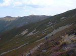P1110259_800x600.jpg