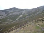 P1110264_800x600.jpg