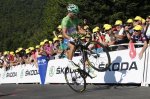 tdf7.jpg