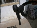 Imagen 002.jpg