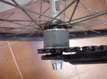 DSC01960.JPG