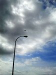 IMG_20120913_120429.jpg