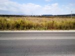 IMG_20120913_120503.jpg