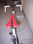 100_7909.JPG