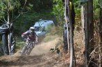 DSC_0300 (Copiar).JPG