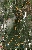 mapgpx (32x50).jpg
