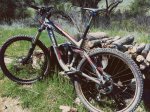 remedy650b.jpg